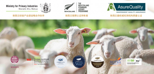 新西兰培育出珍稀奶绵羊——奶中“爱马仕”禧兰羊