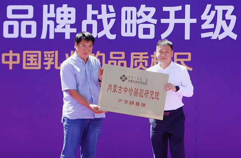1781596420825306.png 图片9.png
