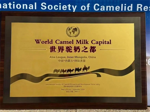 图片8.png